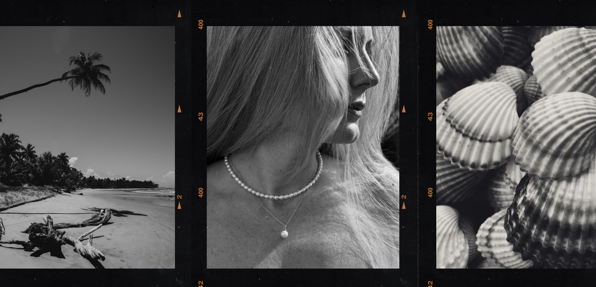Collage of three black and white images: a beach, a close-up of a person's neck with a necklace, and shells.